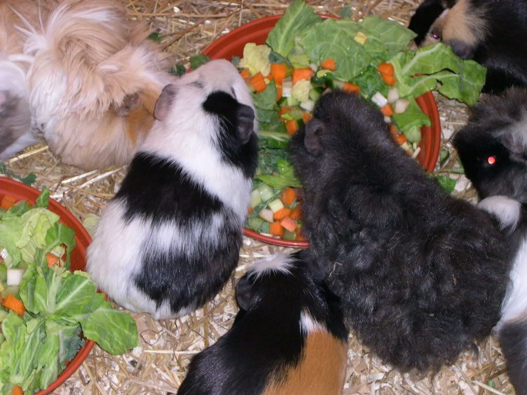 Img0017.jpg