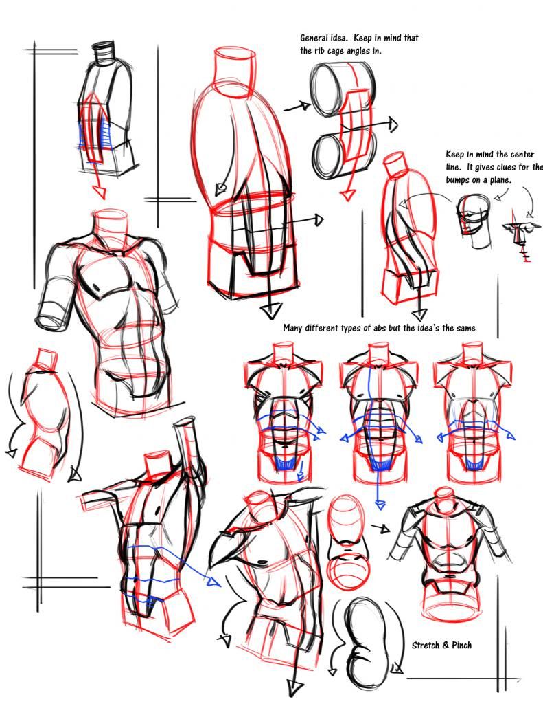 simple_form_break_down_abs_by_funkymonkey1945-d3h08ro_zps29810c3a.jpg ...