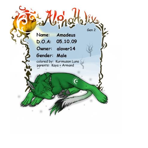 User Image