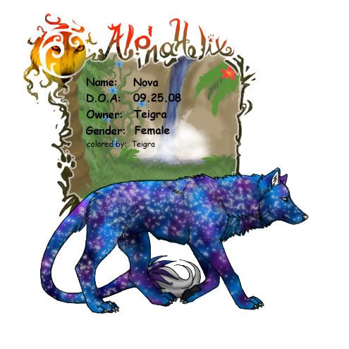 User Image
