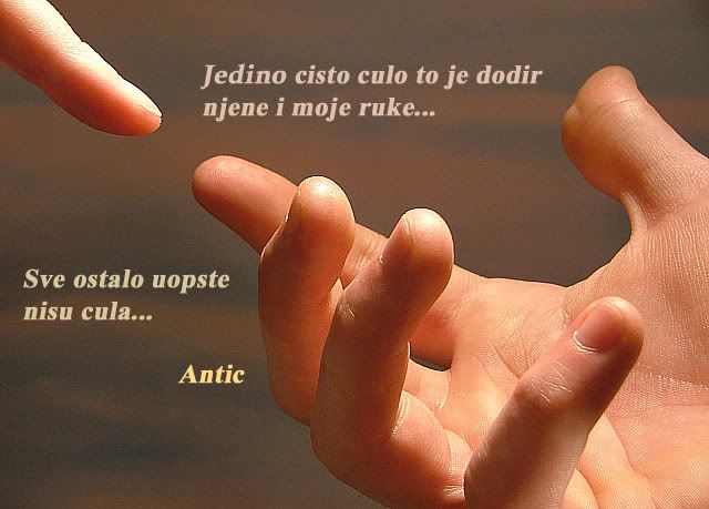 dodircd6zl4.jpg