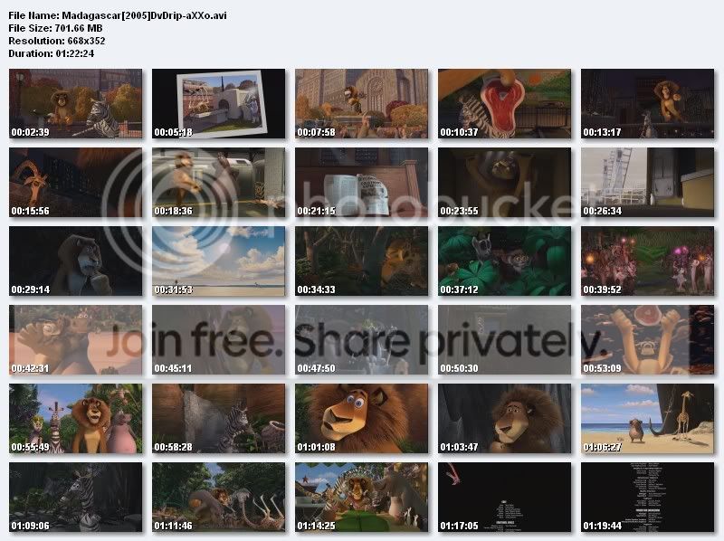 madagascar1-2.jpg