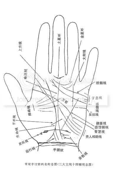 掌纹介绍