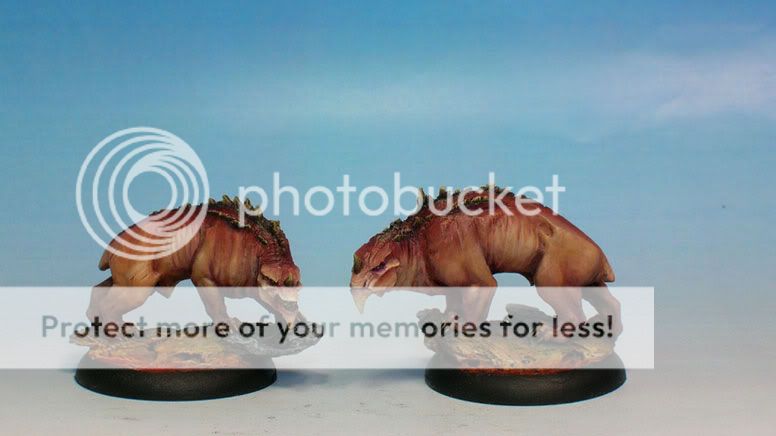 Click to see full-sized image Image