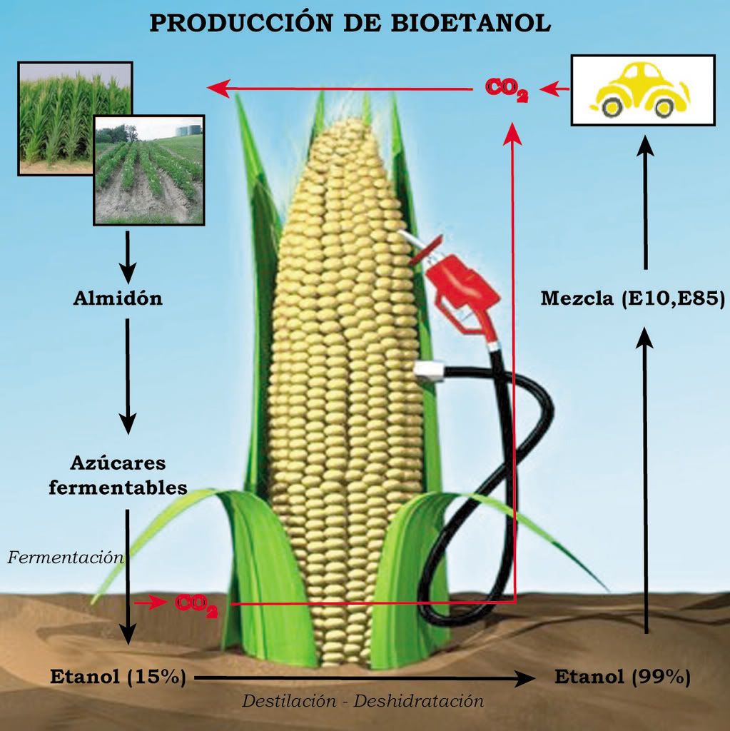 Biocombustible