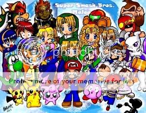 super smash bros. melee and brawl guild banner