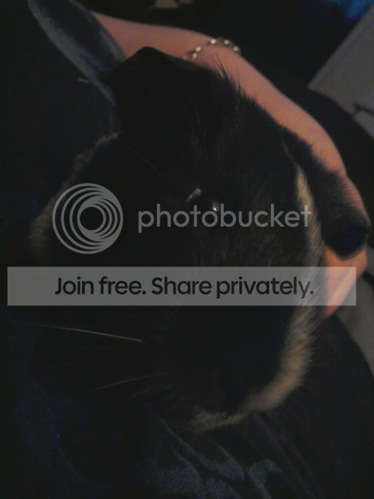 2011-01-03133623.jpg