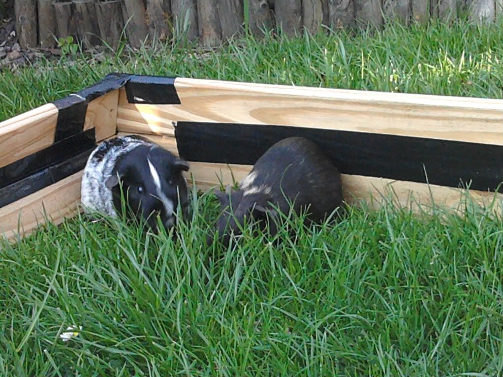 2011-07-24182910.jpg