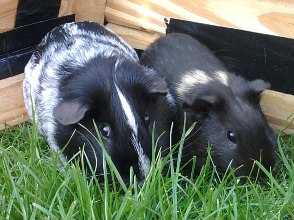 2011-07-24182920.jpg
