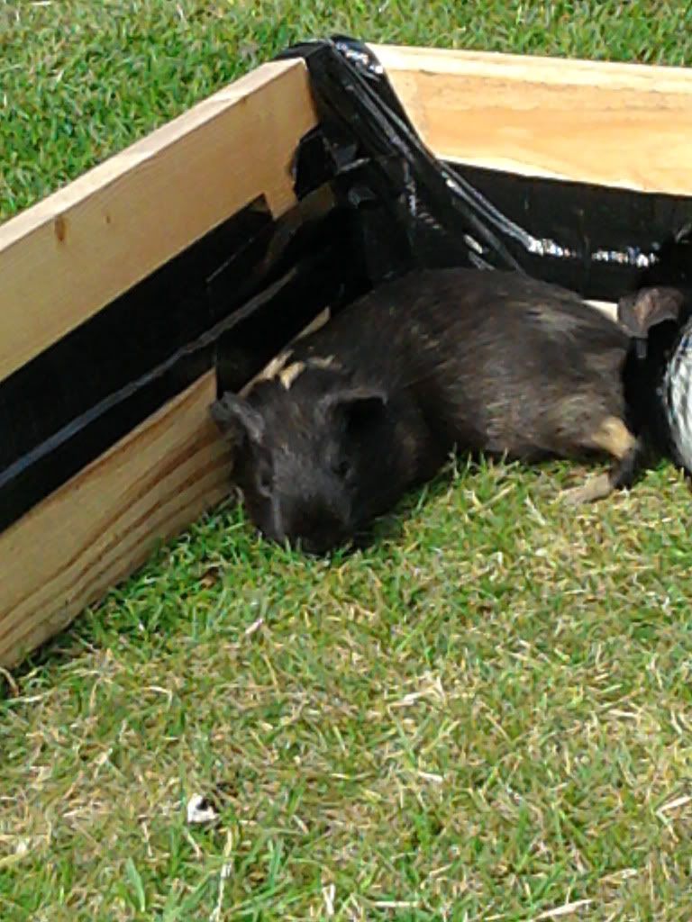 2011-07-25165633.jpg