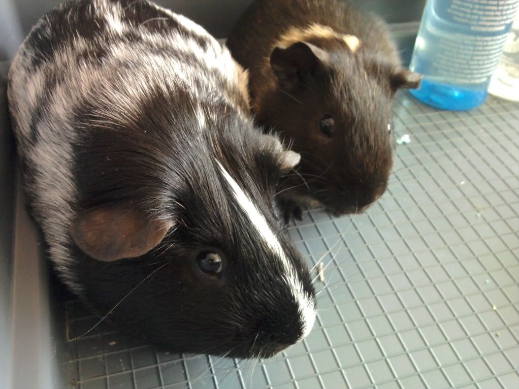 2011-07-26183829.jpg