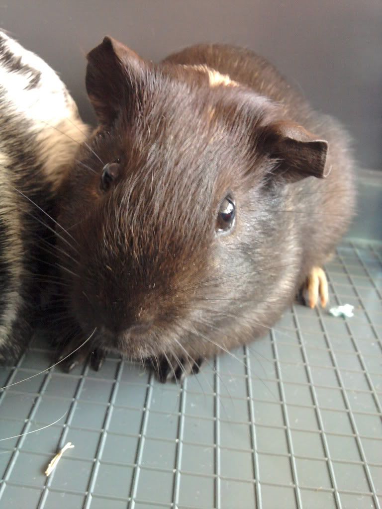2011-07-26183839.jpg