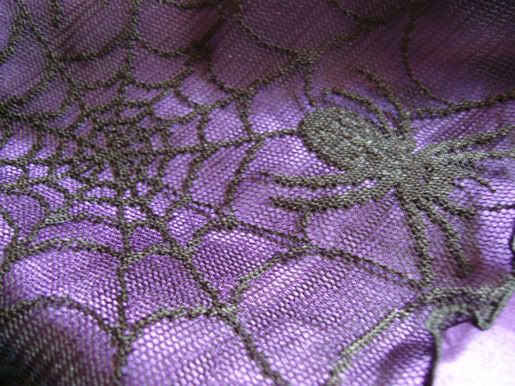 Closeup spider